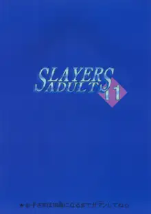 SLAYERS ADULT 11, 日本語