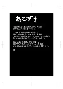 カタメダンジョン, 日本語