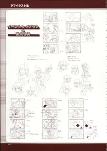 Primitive Link Visual Fanbook, 日本語