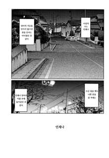 Hisae Haitoku Nikki Ge Kanzenban | 히사에의 배덕일기 완전판, 한국어