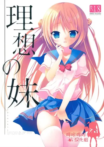 Risou no Imouto, 中文