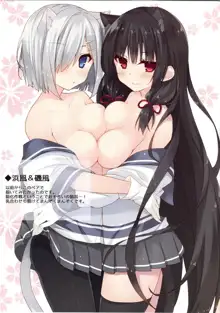 Isokaze Nekoka Sakusen, 中文