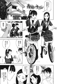 義理なら兄妹恋愛してもいいよね, 日本語