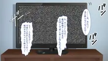 政府公認！無差別種付許可証「エロナンバー」, 日本語