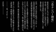 政府公認！無差別種付許可証「エロナンバー」, 日本語