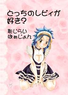 どっちのレビィが好き？～恥じらいばぁじょん～, 日本語