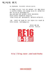 RE 16, 한국어