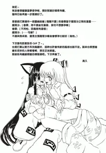 Touhou Youjo Ranbu 4, 中文