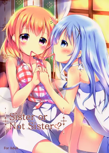 Sister or Not Sister??, 日本語