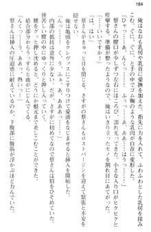 しゃーまんず・さんくちゅあり -巫女の聖域-, 日本語