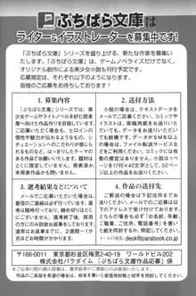 しゃーまんず・さんくちゅあり -巫女の聖域-, 日本語