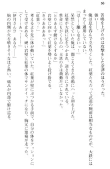 しゃーまんず・さんくちゅあり -巫女の聖域-, 日本語