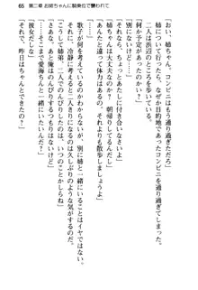 俺の彼女とお姉ちゃんの誘惑水着勝負!, 日本語