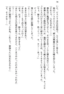 俺の彼女とお姉ちゃんの誘惑水着勝負!, 日本語