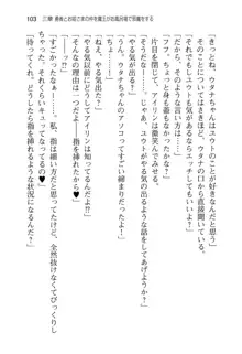 勇者とお姫さまの仲を魔王が邪魔をする, 日本語