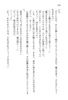 勇者とお姫さまの仲を魔王が邪魔をする, 日本語