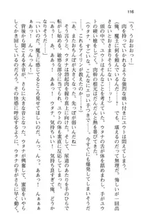 勇者とお姫さまの仲を魔王が邪魔をする, 日本語