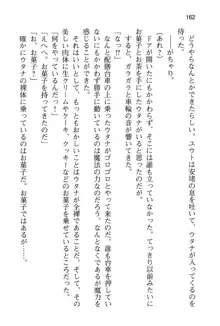 勇者とお姫さまの仲を魔王が邪魔をする, 日本語