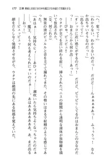 勇者とお姫さまの仲を魔王が邪魔をする, 日本語