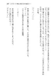 勇者とお姫さまの仲を魔王が邪魔をする, 日本語