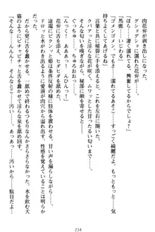 僕の彼女は処女ビッチ生徒会長!?, 日本語