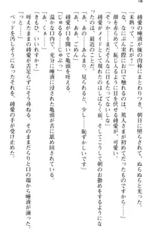 ご奉仕メイドは性処理上手 「あなたの言うことなら何でも聞きます!」, 日本語