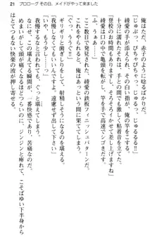 ご奉仕メイドは性処理上手 「あなたの言うことなら何でも聞きます!」, 日本語