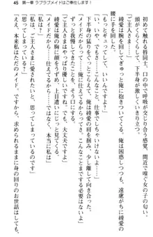 ご奉仕メイドは性処理上手 「あなたの言うことなら何でも聞きます!」, 日本語