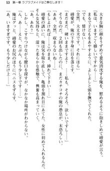 ご奉仕メイドは性処理上手 「あなたの言うことなら何でも聞きます!」, 日本語