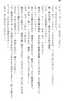 ご奉仕メイドは性処理上手 「あなたの言うことなら何でも聞きます!」, 日本語