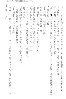 妹とその友人がエロすぎて俺の股間がヤバイ, 日本語