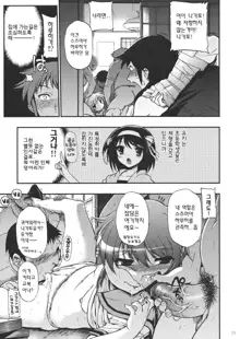 15513 Kaime no Nagato Yuki, 한국어