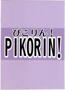 幸子のエロ本, 日本語