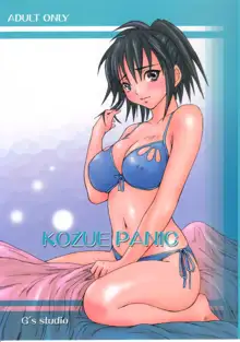 Kozue Panic, 中文