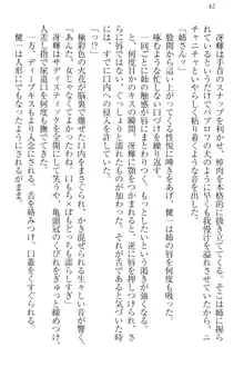 完全無欠のダメ姉ハーレム ねえ、ちゃんと面倒みなさい!, 日本語