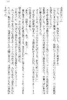 弟の赤ちゃんが欲しくない姉なんていません！, 日本語