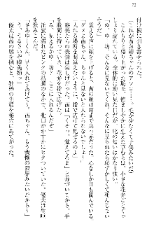 弟の赤ちゃんが欲しくない姉なんていません！, 日本語