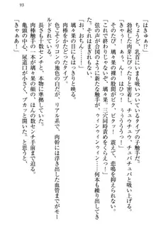 没落お嬢様は言いなりメイド!?, 日本語