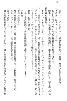 没落お嬢様は言いなりメイド!?, 日本語