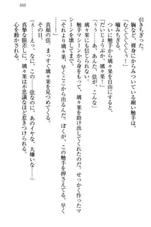 没落お嬢様は言いなりメイド!?, 日本語