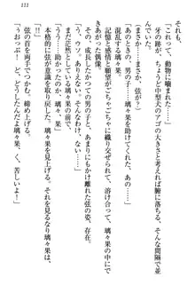 没落お嬢様は言いなりメイド!?, 日本語