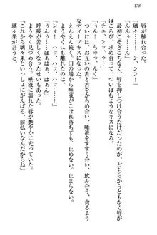 没落お嬢様は言いなりメイド!?, 日本語