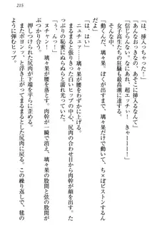 没落お嬢様は言いなりメイド!?, 日本語