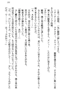 没落お嬢様は言いなりメイド!?, 日本語