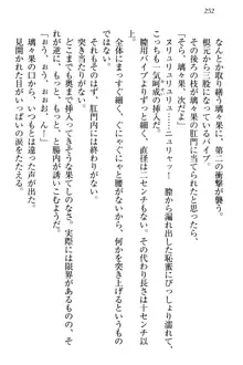 没落お嬢様は言いなりメイド!?, 日本語