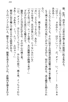 没落お嬢様は言いなりメイド!?, 日本語