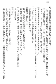 没落お嬢様は言いなりメイド!?, 日本語