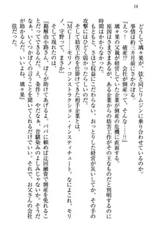 没落お嬢様は言いなりメイド!?, 日本語