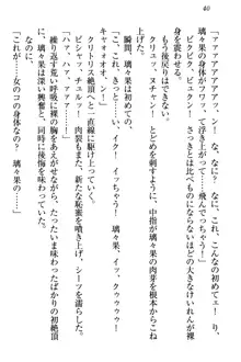 没落お嬢様は言いなりメイド!?, 日本語