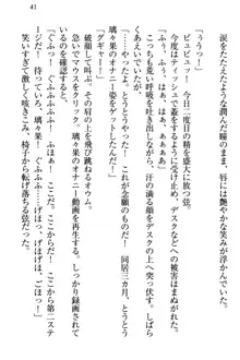 没落お嬢様は言いなりメイド!?, 日本語